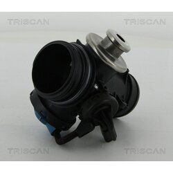 EGR ventil TRISCAN 8813 28200