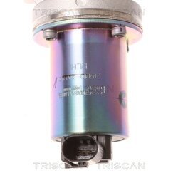 EGR ventil TRISCAN 8813 43001 - obr. 1