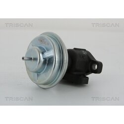 EGR ventil TRISCAN 8813 43005 - obr. 1