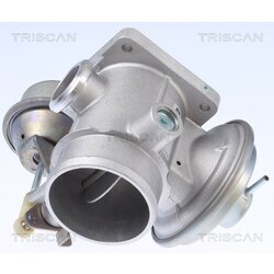 EGR ventil TRISCAN 8813 10034