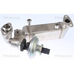 EGR ventil TRISCAN 8813 11009