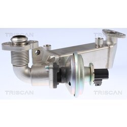 EGR ventil TRISCAN 8813 11009 - obr. 2