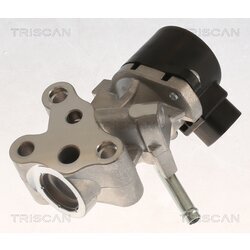 EGR ventil TRISCAN 8813 13069