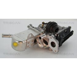 EGR ventil TRISCAN 8813 25013