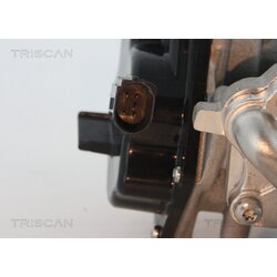 EGR ventil TRISCAN 8813 29305 - obr. 1