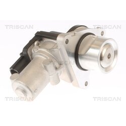 EGR ventil TRISCAN 8813 43010