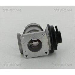 EGR ventil TRISCAN 8813 44030 - obr. 1