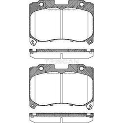 Sada brzdových platničiek kotúčovej brzdy TRISCAN 8110 13050