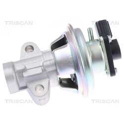 EGR ventil TRISCAN 8813 16069