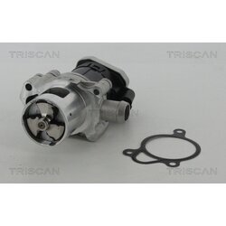 EGR ventil TRISCAN 8813 23010