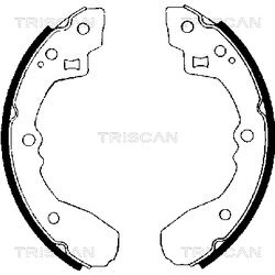 Sada brzdových čeľustí TRISCAN 8100 50406