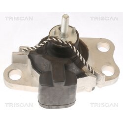 Uloženie motora TRISCAN 8505 25100