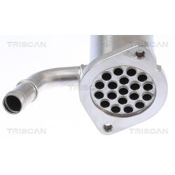 Chladič pre recirkuláciu plynov TRISCAN 8813 10112 - obr. 1