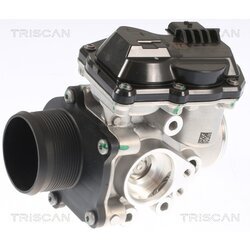 EGR ventil TRISCAN 8813 16002