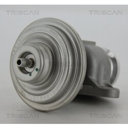 EGR ventil TRISCAN 8813 23201 - obr. 1