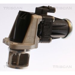 EGR ventil TRISCAN 8813 25040