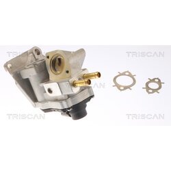 EGR ventil TRISCAN 8813 42002 - obr. 3