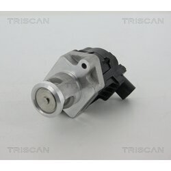 EGR ventil TRISCAN 8813 10006 - obr. 2