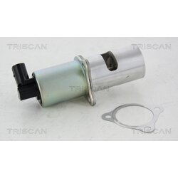 EGR ventil TRISCAN 8813 10100 - obr. 2