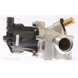 EGR ventil TRISCAN 8813 15076