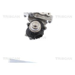 EGR ventil TRISCAN 8813 16005 - obr. 1