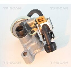 EGR ventil TRISCAN 8813 23205 - obr. 1