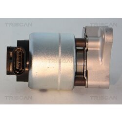 EGR ventil TRISCAN 8813 24063 - obr. 1