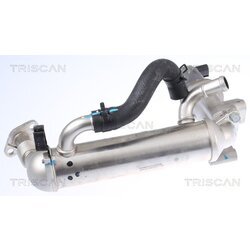 EGR ventil TRISCAN 8813 43041 - obr. 2