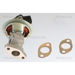 EGR ventil TRISCAN 8813 10054 - obr. 2