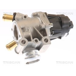 EGR ventil TRISCAN 8813 15076 - obr. 2