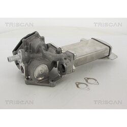 EGR ventil TRISCAN 8813 29305 - obr. 2