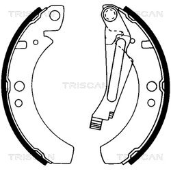 Sada brzdových čeľustí TRISCAN 8100 29266