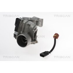 EGR ventil TRISCAN 8813 15100 - obr. 4