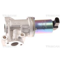 EGR ventil TRISCAN 8813 43001