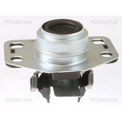 Uloženie motora TRISCAN 8505 25107
