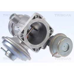 EGR ventil TRISCAN 8813 10034 - obr. 1