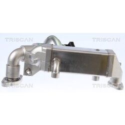 EGR ventil TRISCAN 8813 11009 - obr. 1
