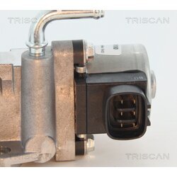 EGR ventil TRISCAN 8813 13002 - obr. 1