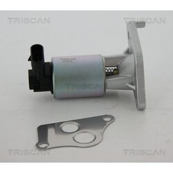 EGR ventil TRISCAN 8813 24027