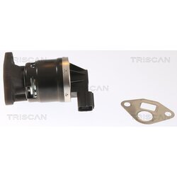 EGR ventil TRISCAN 8813 40001