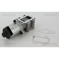 EGR ventil TRISCAN 8813 13102