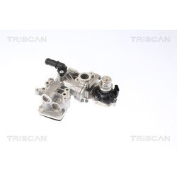 EGR ventil TRISCAN 8813 16005