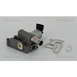 EGR ventil TRISCAN 8813 24200