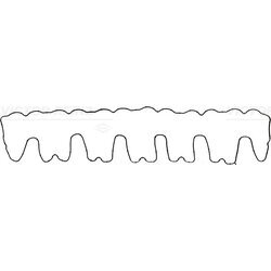 Tesnenie veka hlavy valcov VICTOR REINZ 71-38971-00